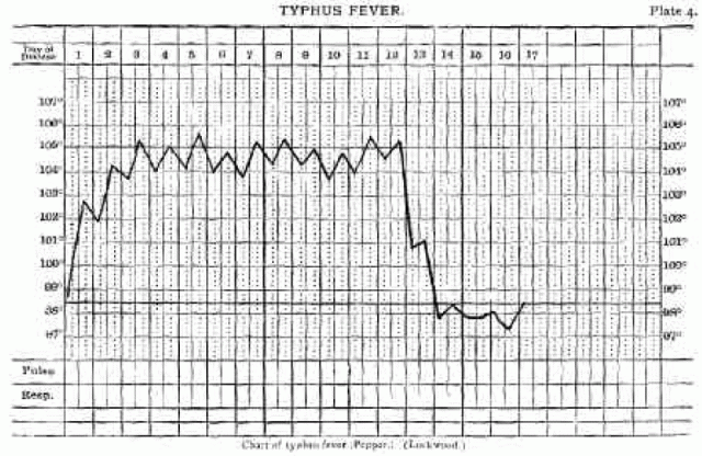 Plate 4: Typhus Fever.